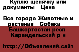 Куплю щенячку или документы › Цена ­ 3 000 - Все города Животные и растения » Собаки   . Башкортостан респ.,Караидельский р-н